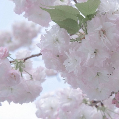 兽设暗黑风格设计Furry群